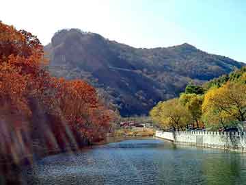 澳门红姐论坛精准两码300期，黑狼基地